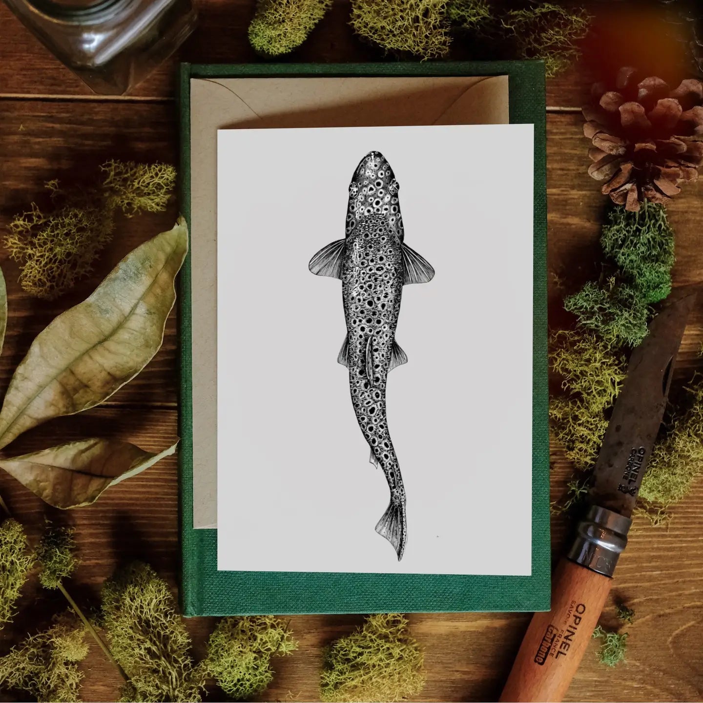 Brown Trout Card