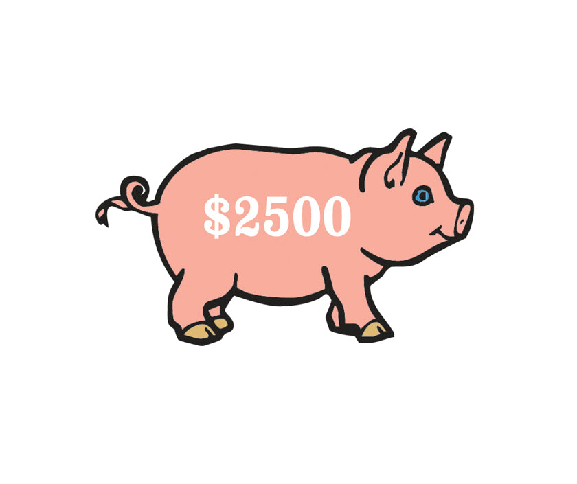 master of the universe