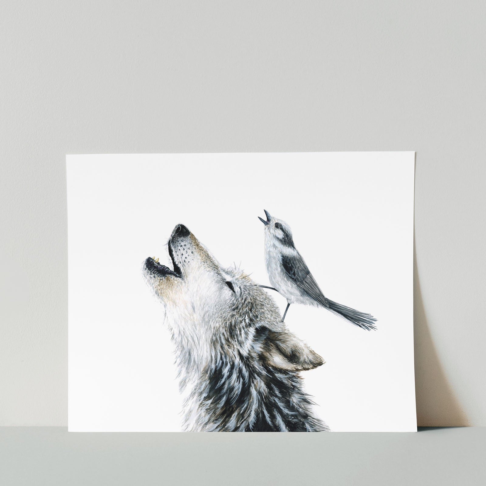 Gray Wolf & Gray Jay