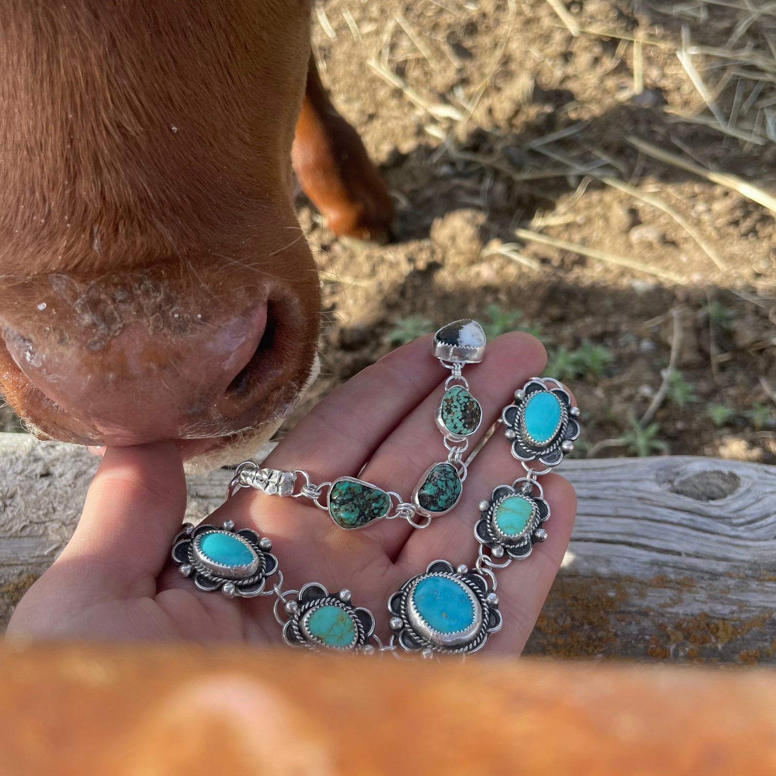 Crazy Hoof Silver