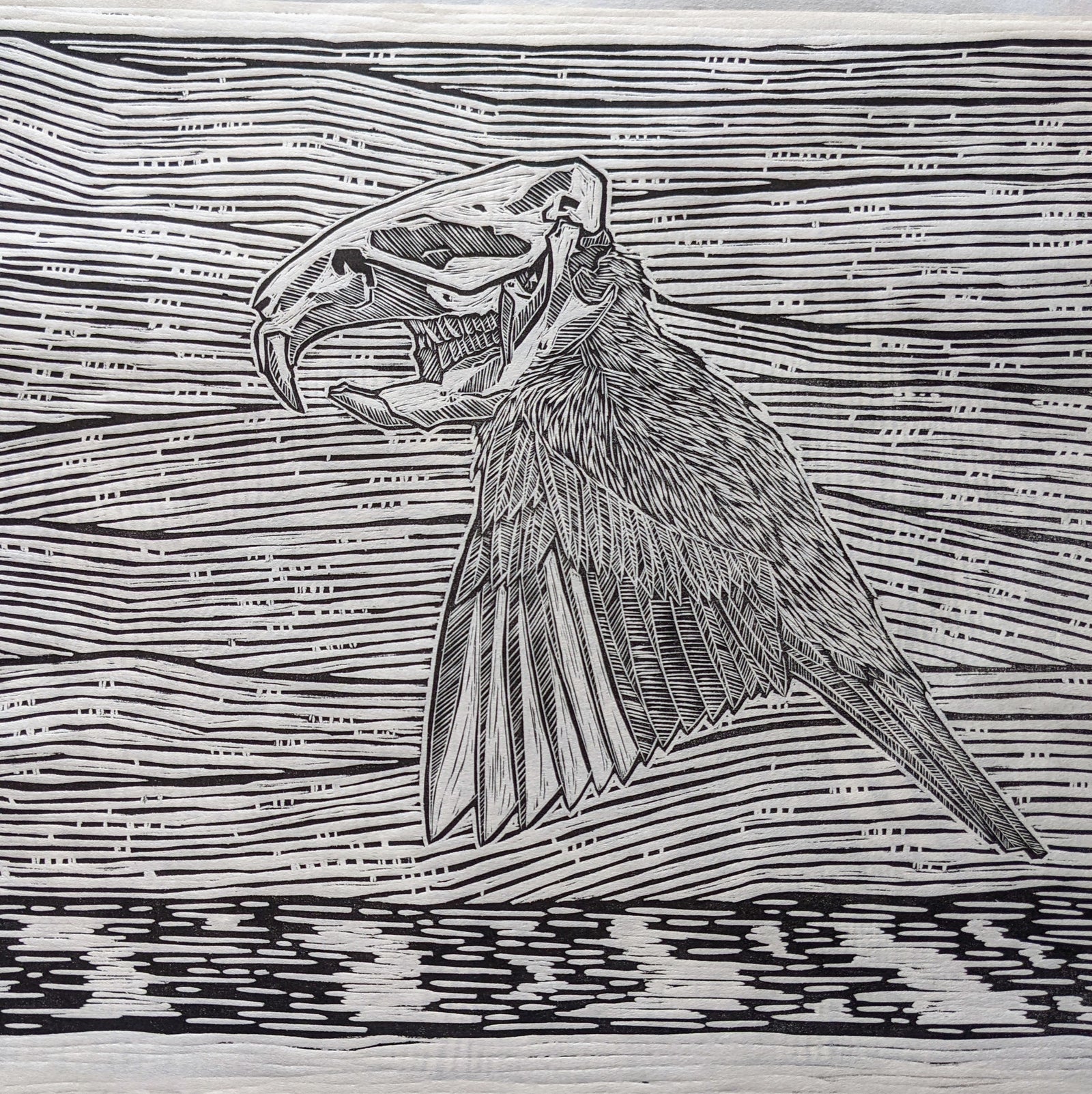 Lost Ornithology