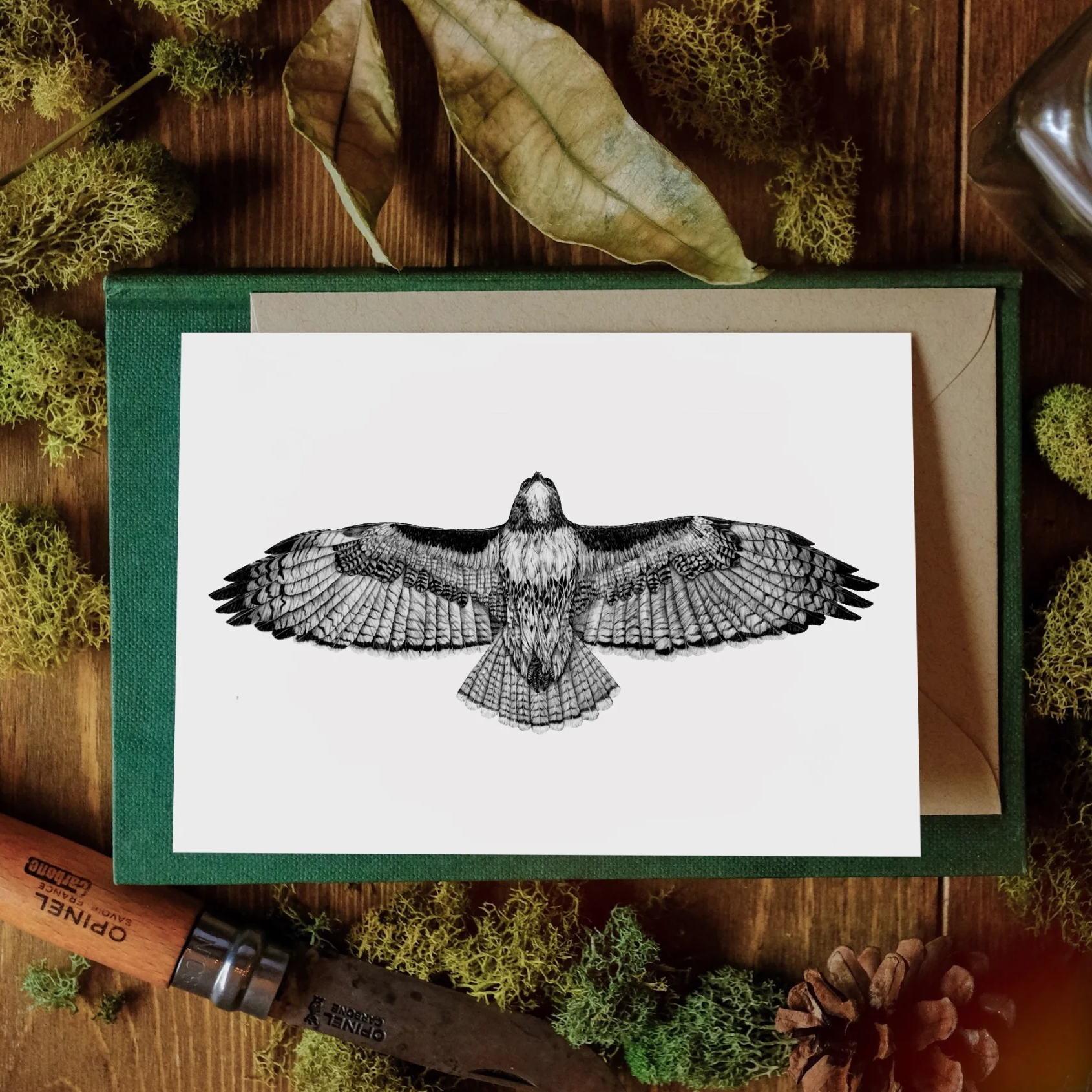 Red-tailed Hawk Card