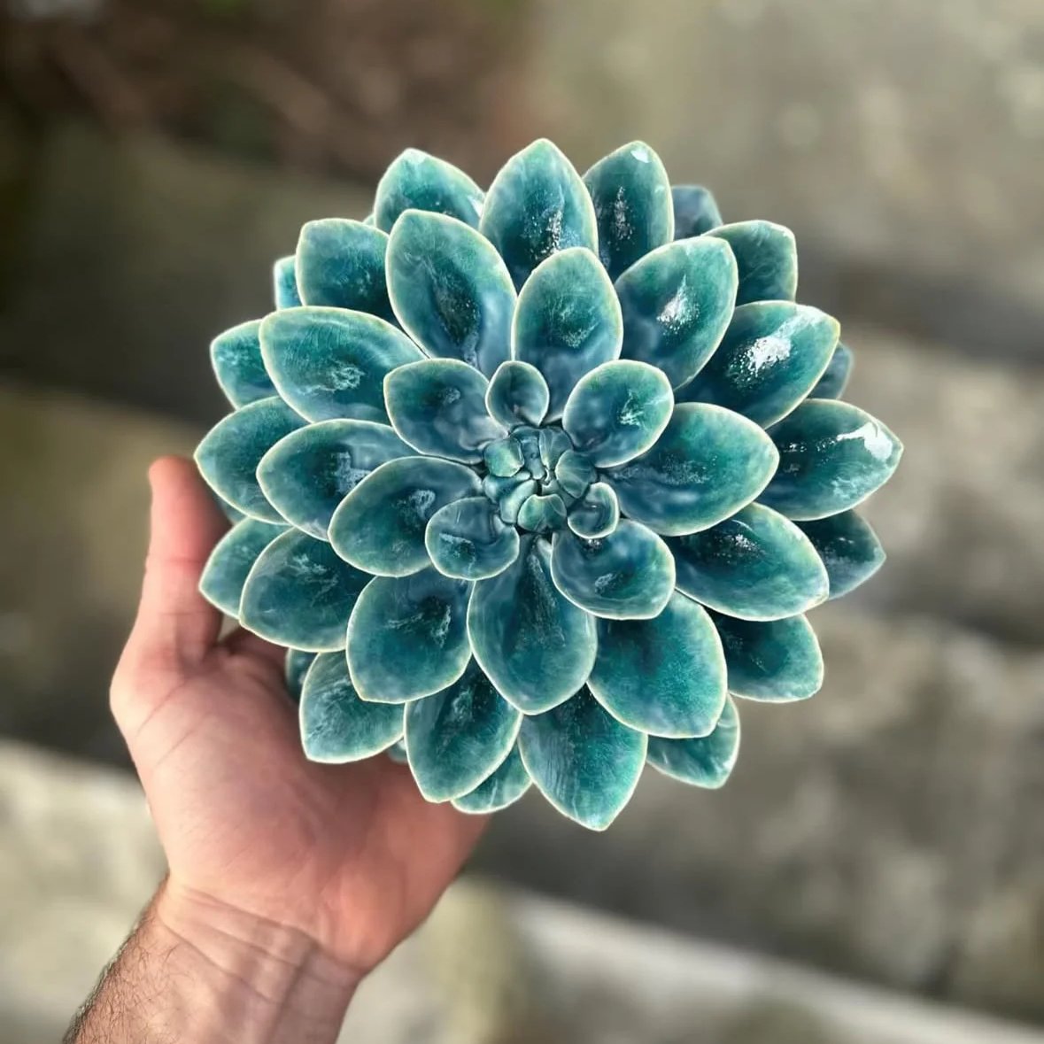 Owen Mann Sculpture