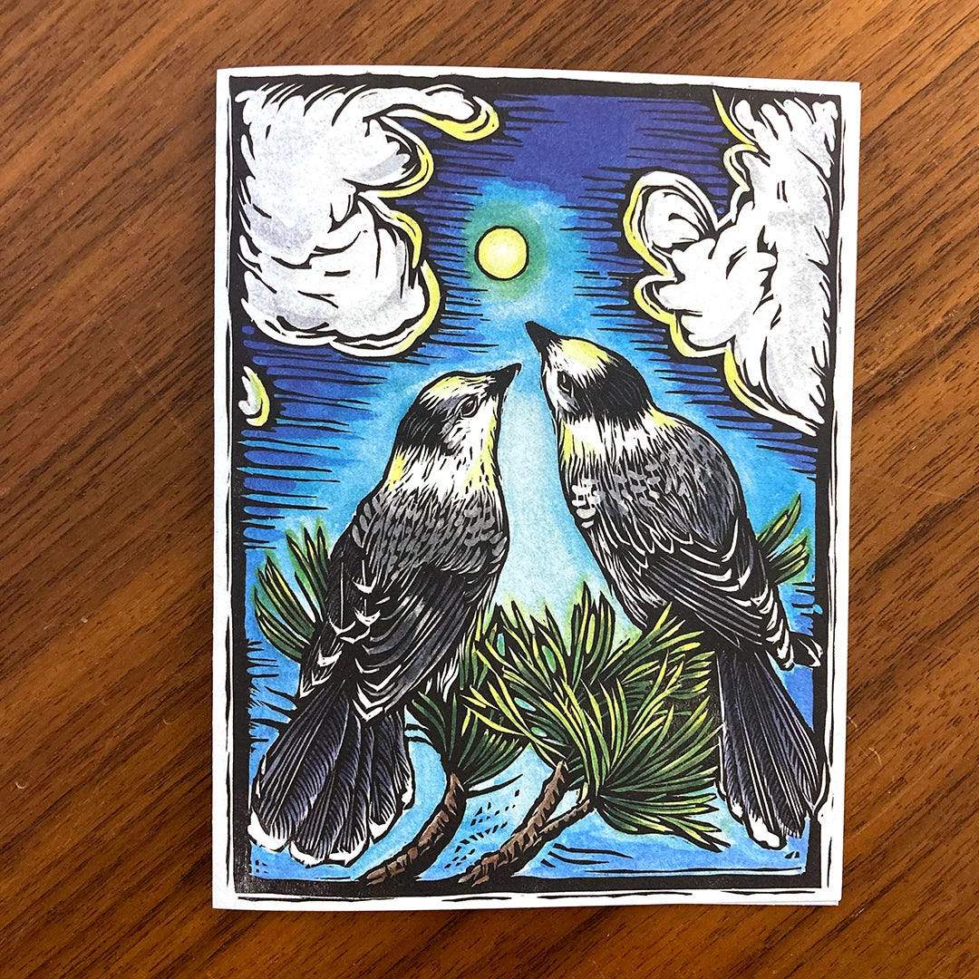 Grey Jays