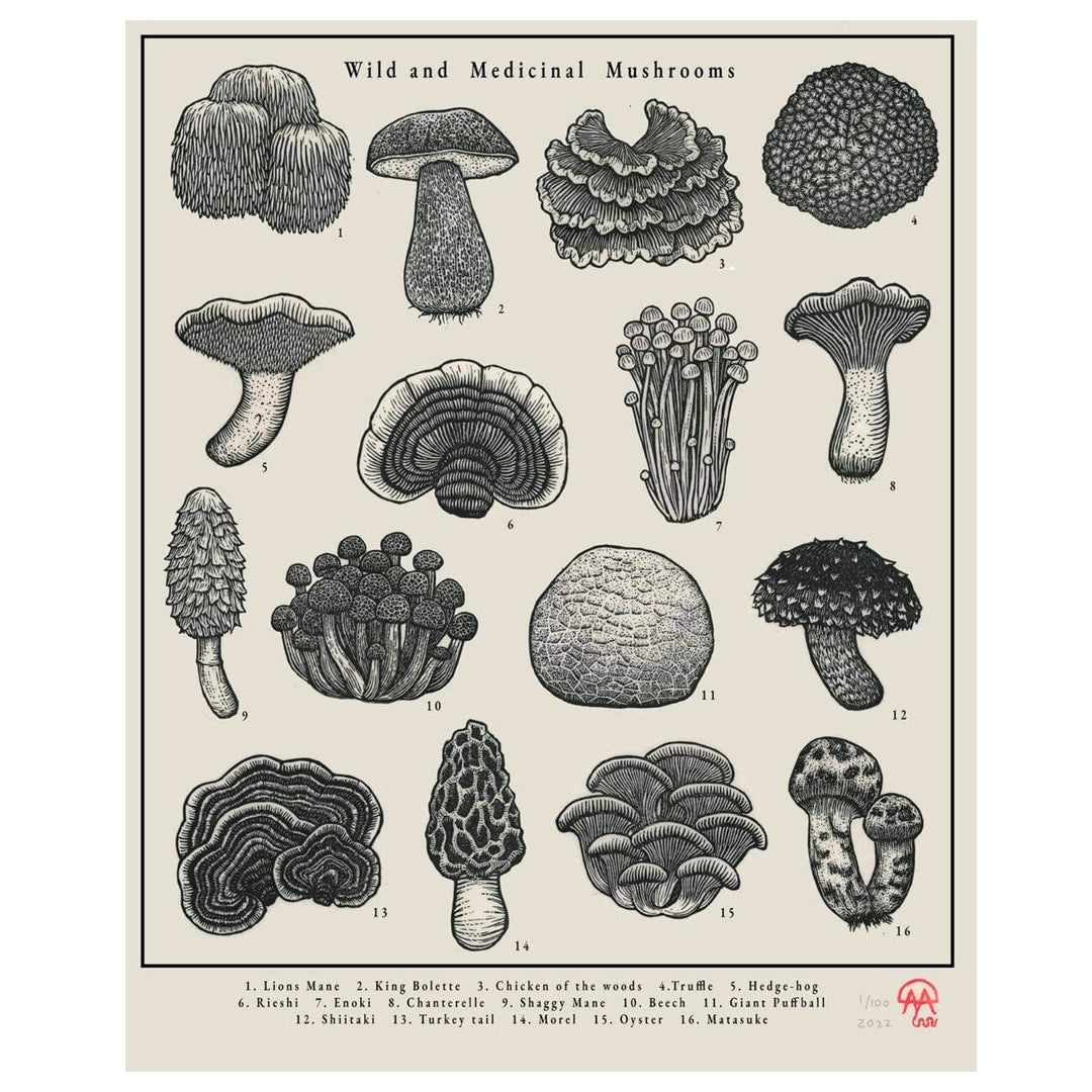 Edible  & Medicinal Mushrooms