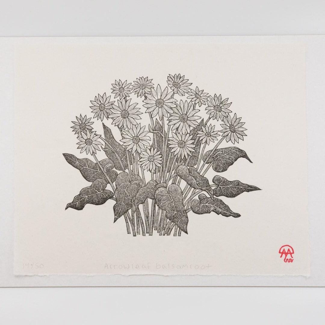 ARROWLEAF BALSAMROOT