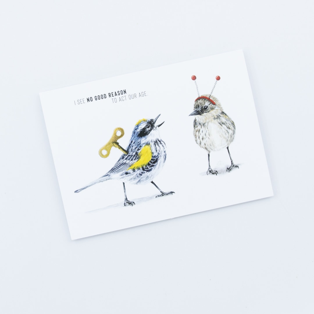 Whimsical Birds and Words