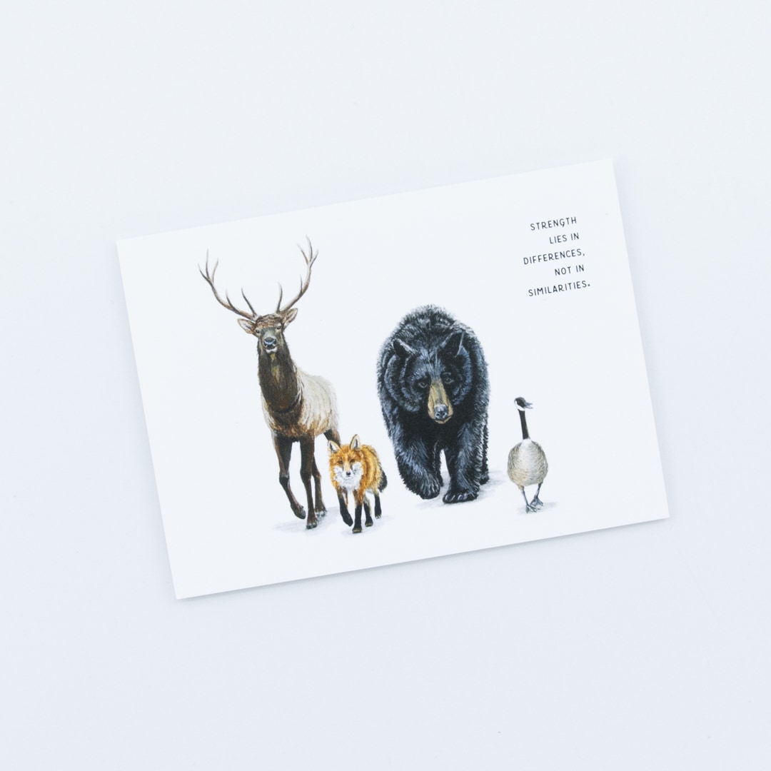 Whimsical Birds and Words