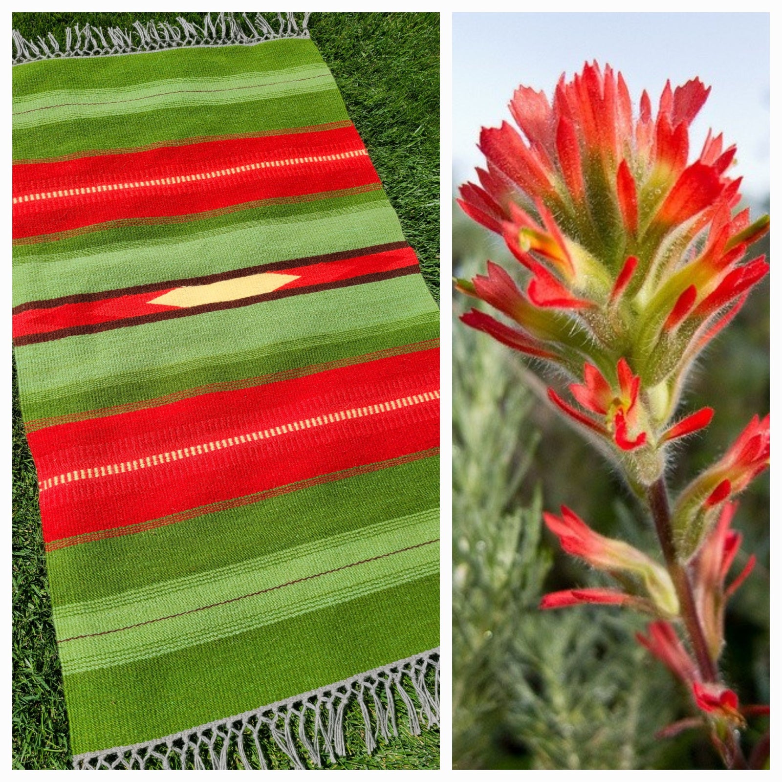 Desert Rose Weaving