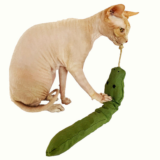 Hemp Cat Toys & More