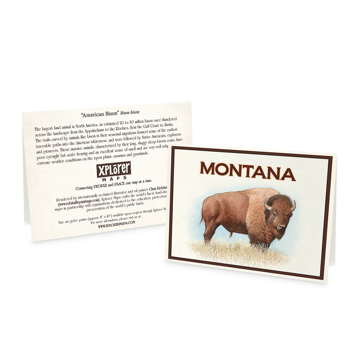 Xplorer Note Cards