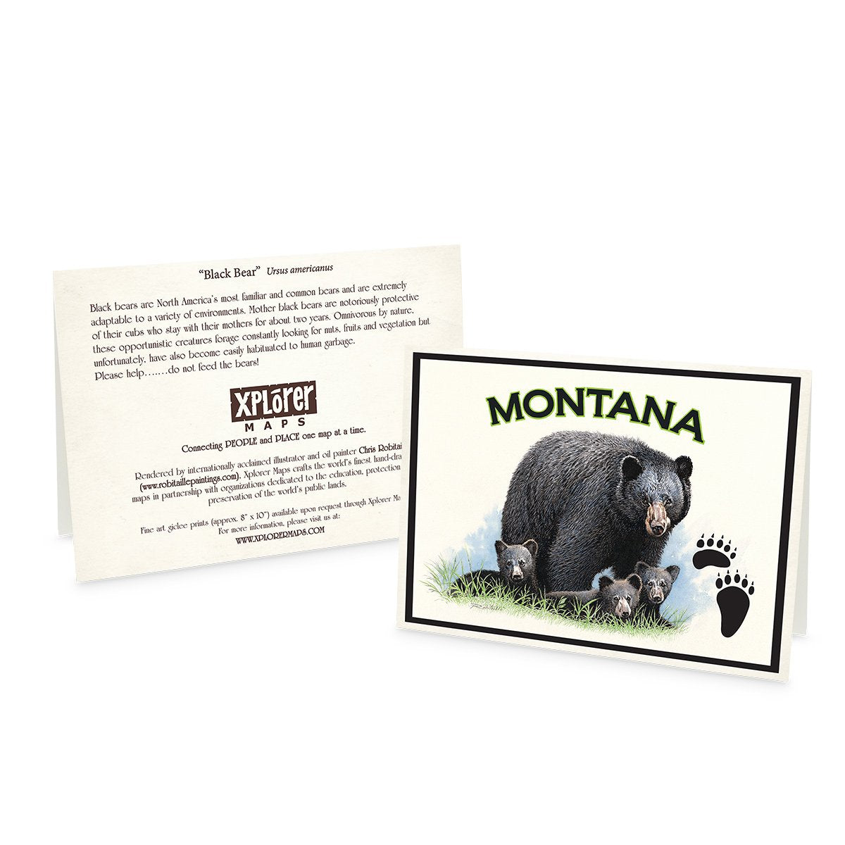 Xplorer Note Cards