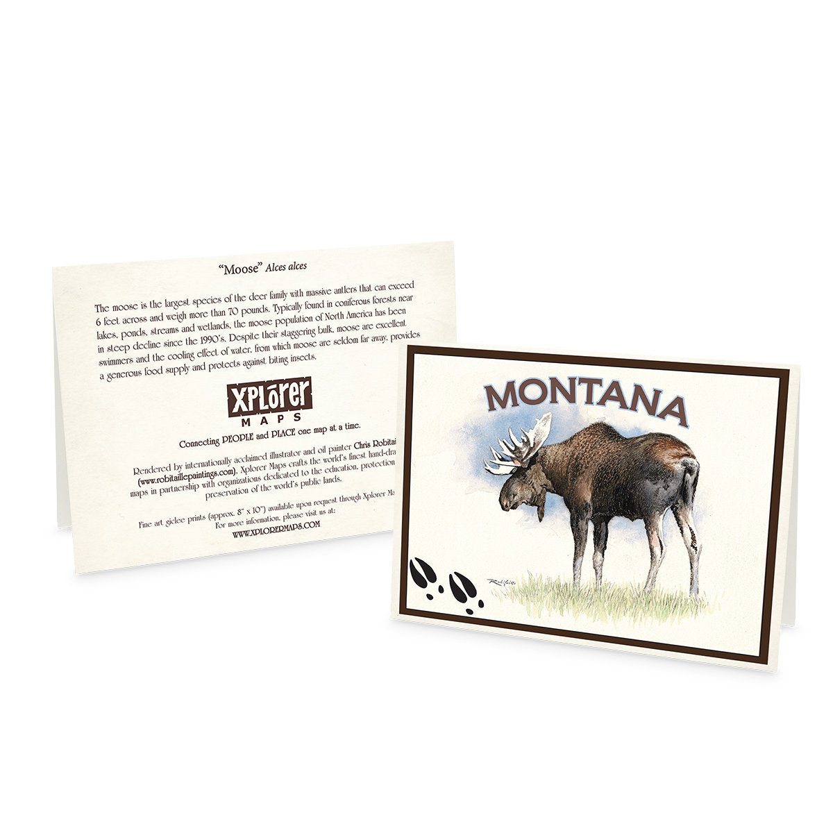 Xplorer Note Cards