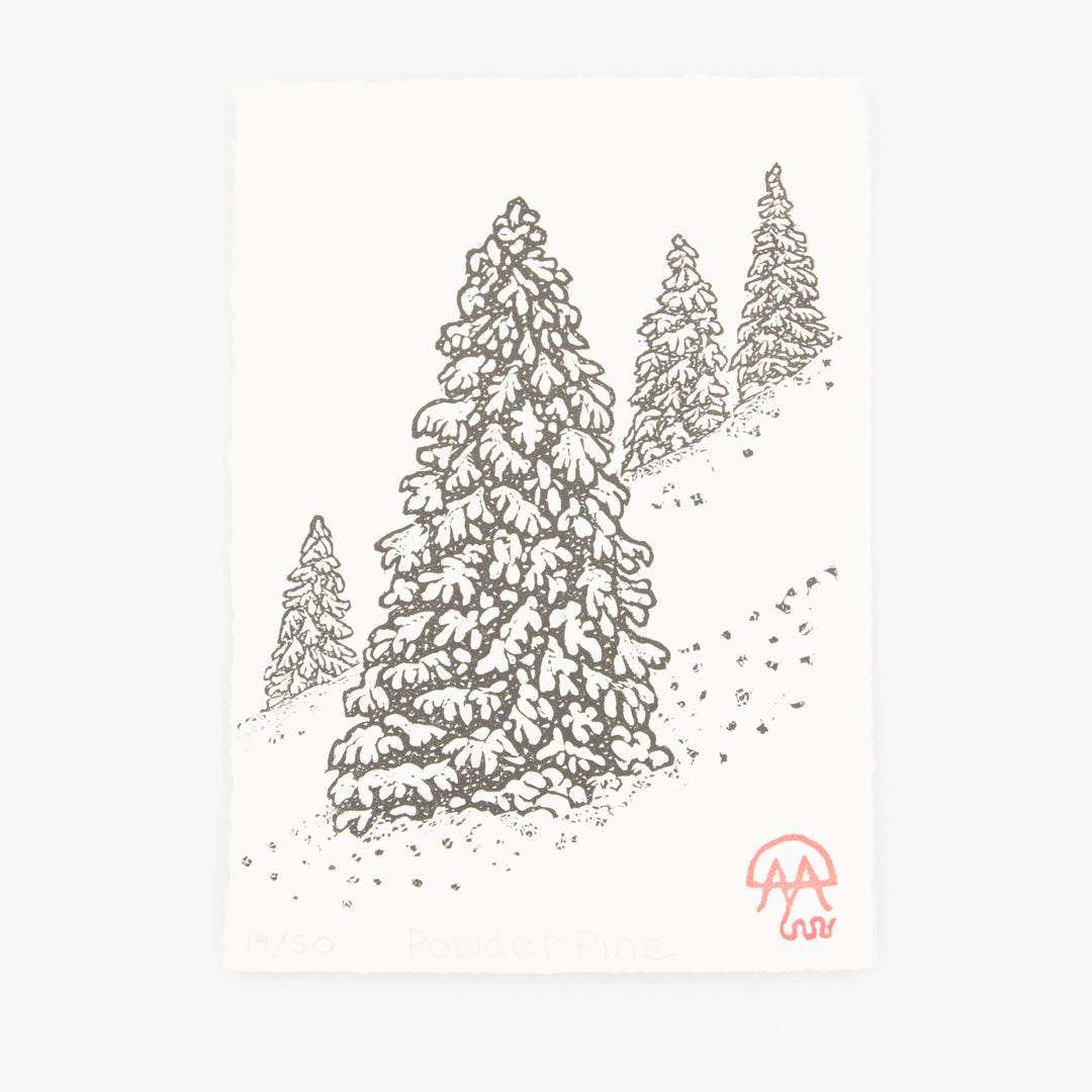 Powder Pine