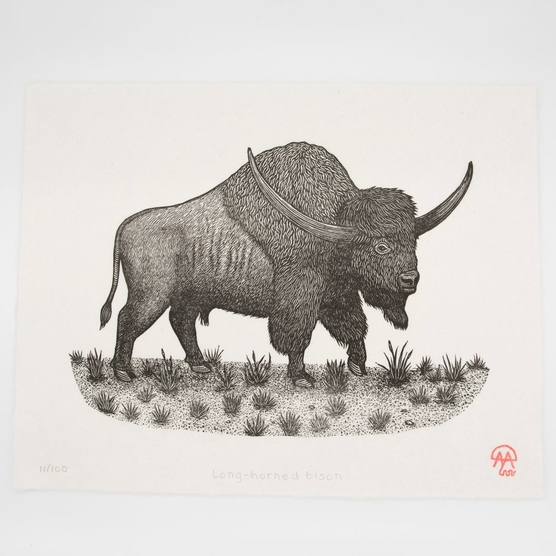 Long Horn Bison Print