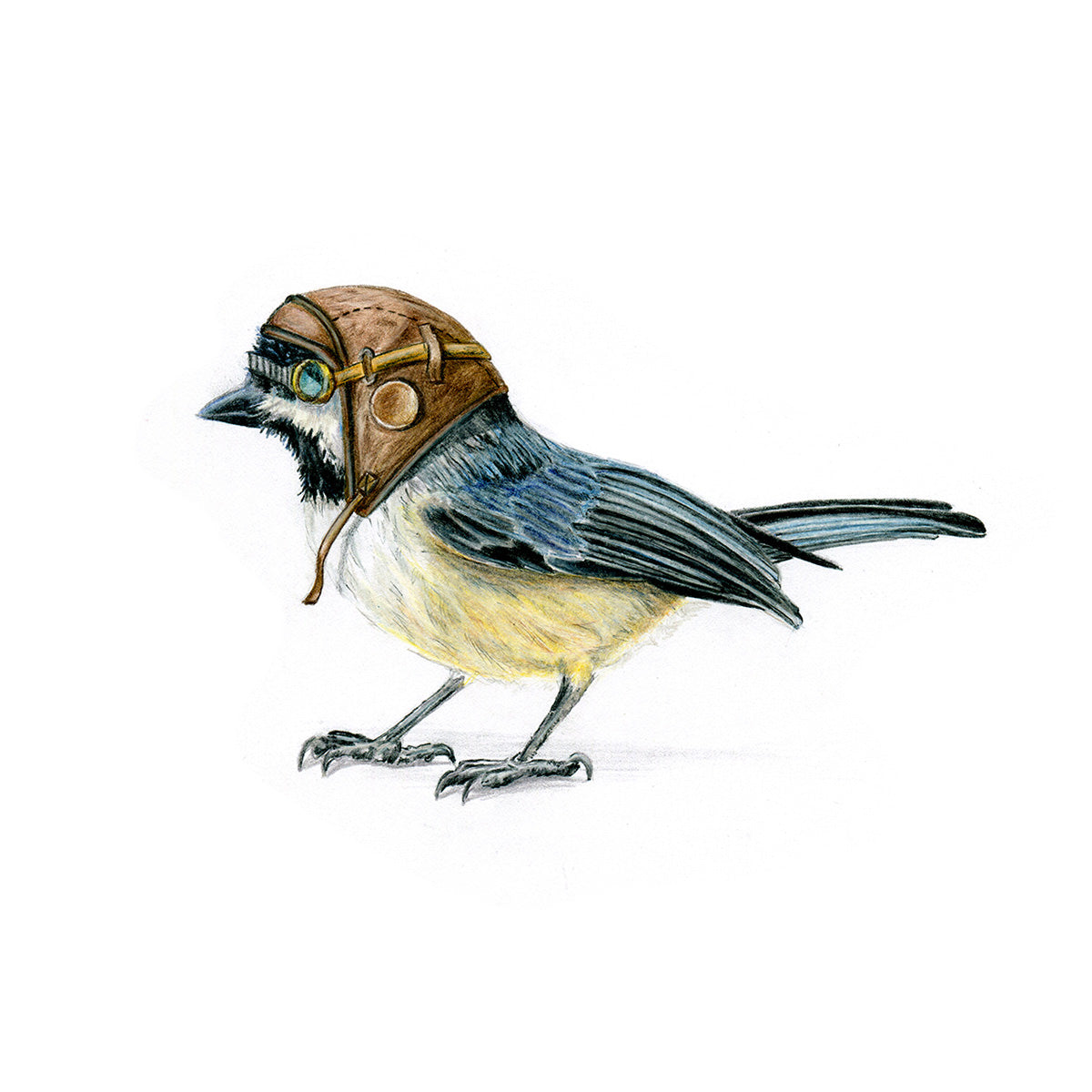 Aviator Chickadee