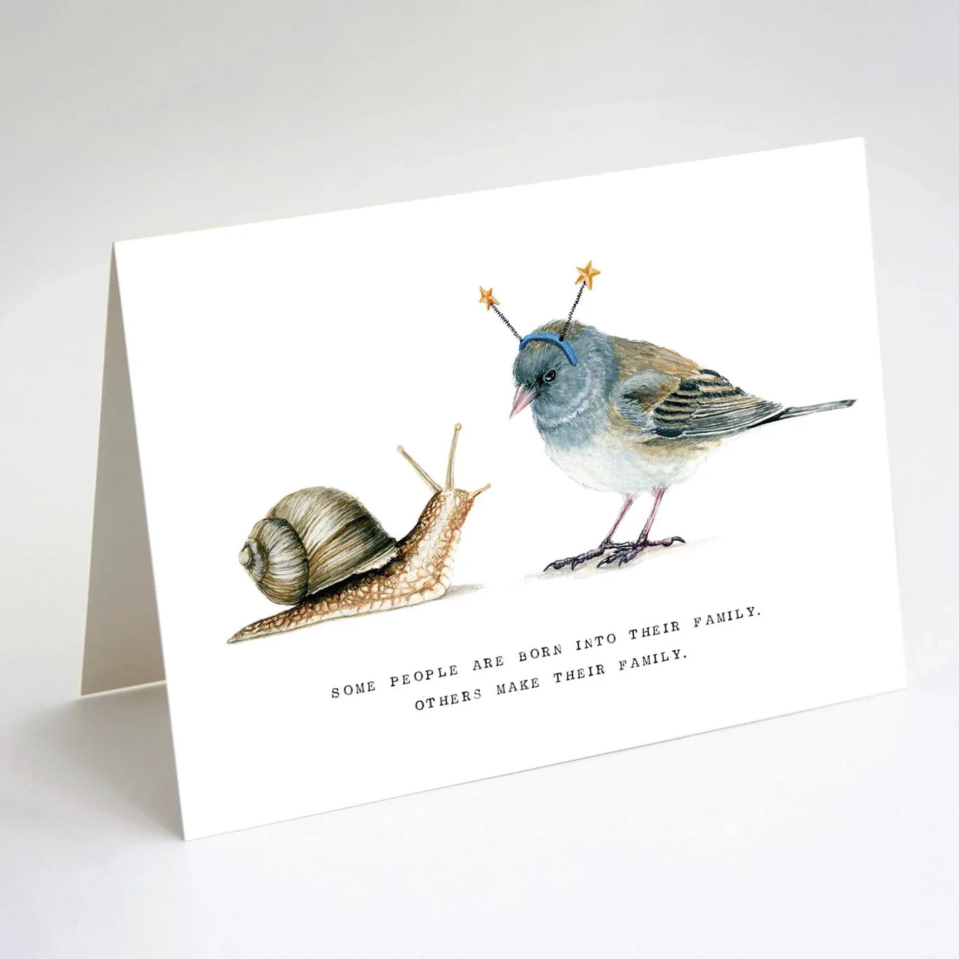Junco & Land Snail