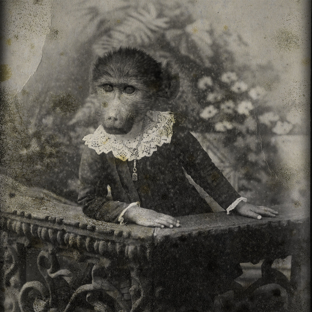 Noctropolis