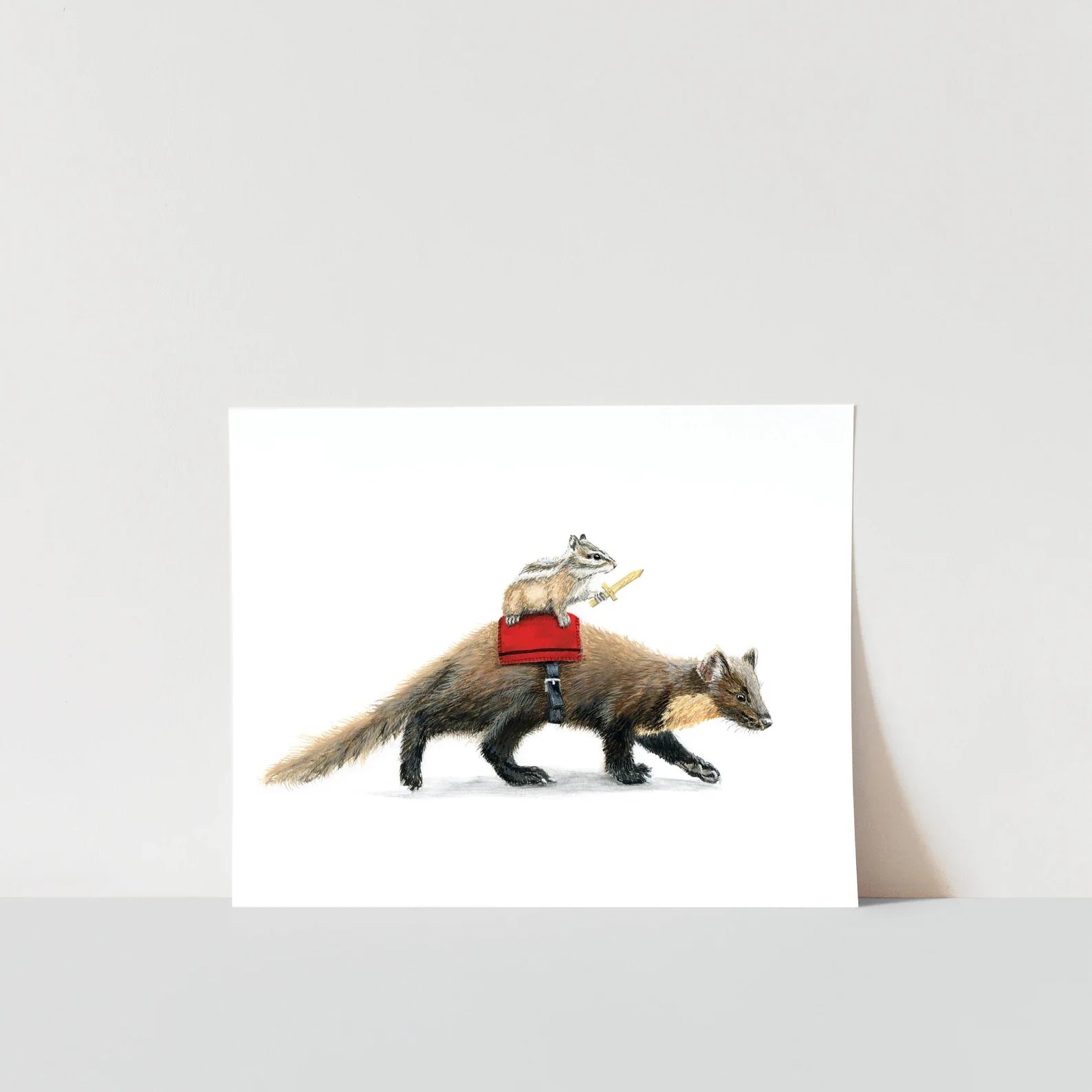 Pine Marten
