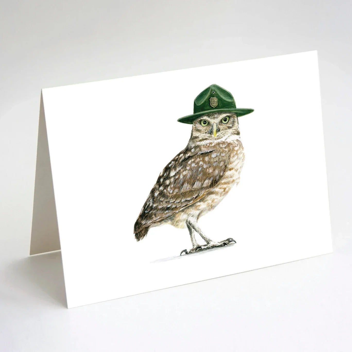 Ranger Owl