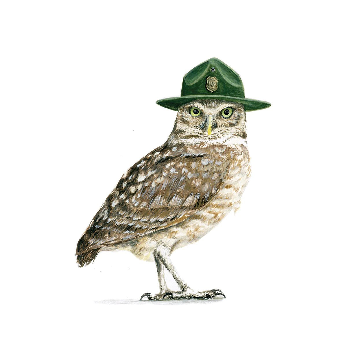 Ranger Owl