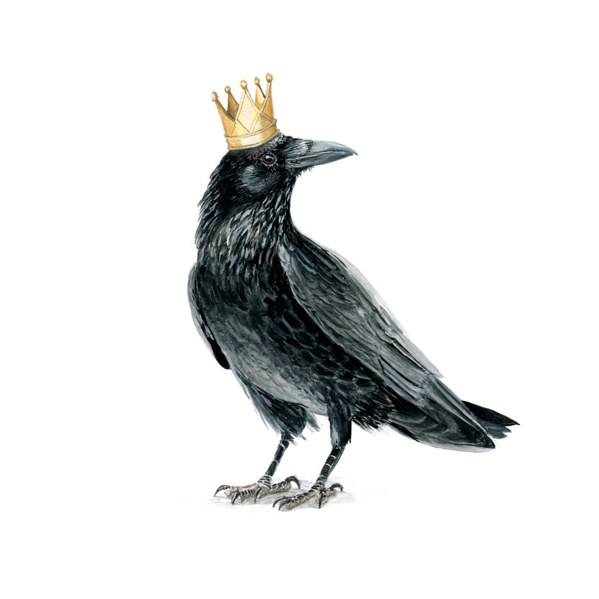 Reigning Raven
