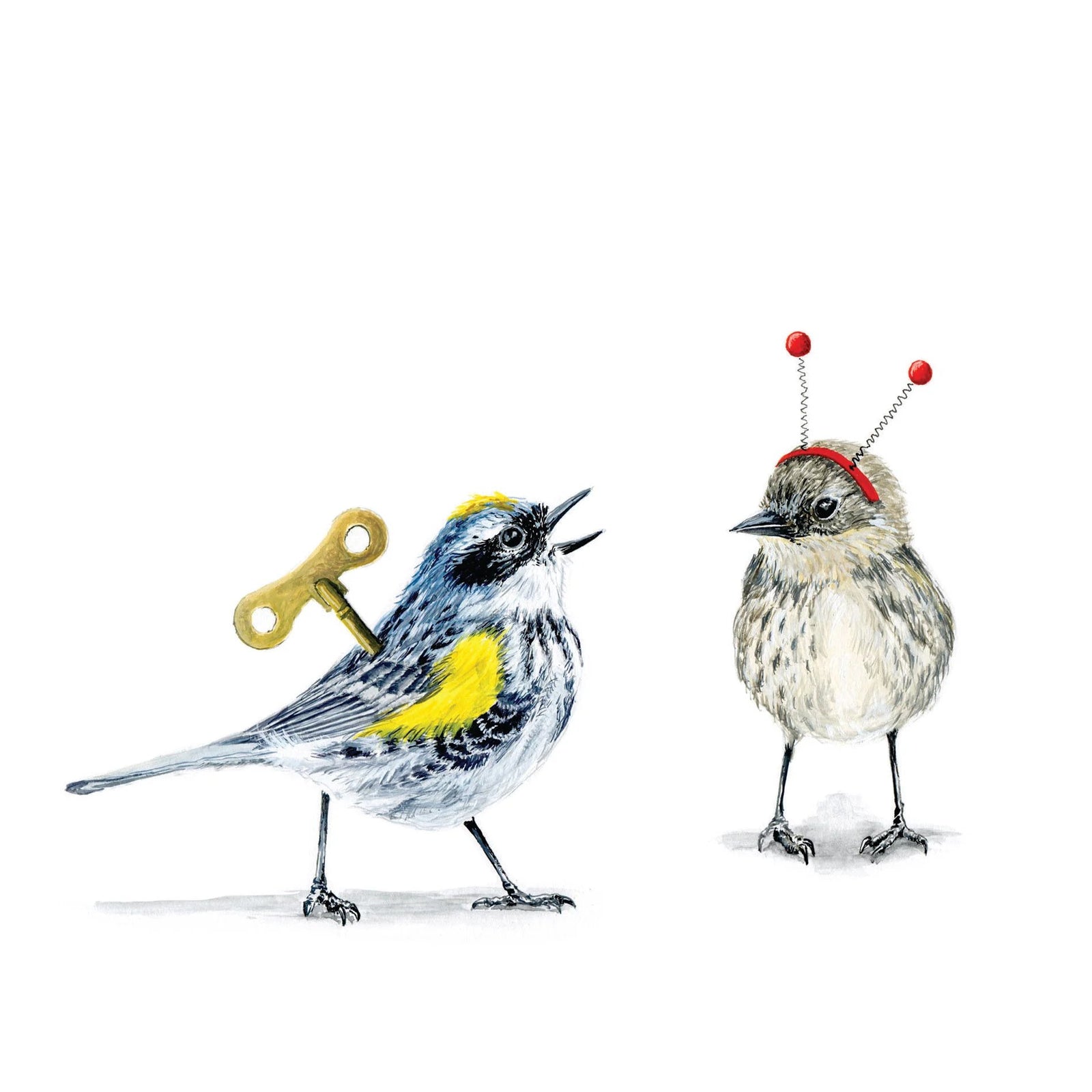 Warblers