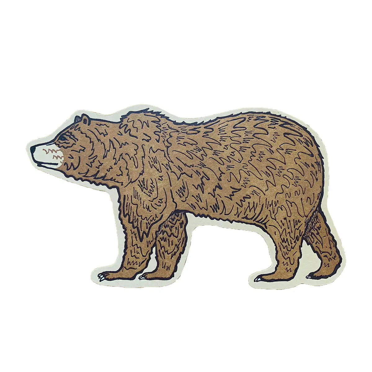 Grizzly Bear Postcard