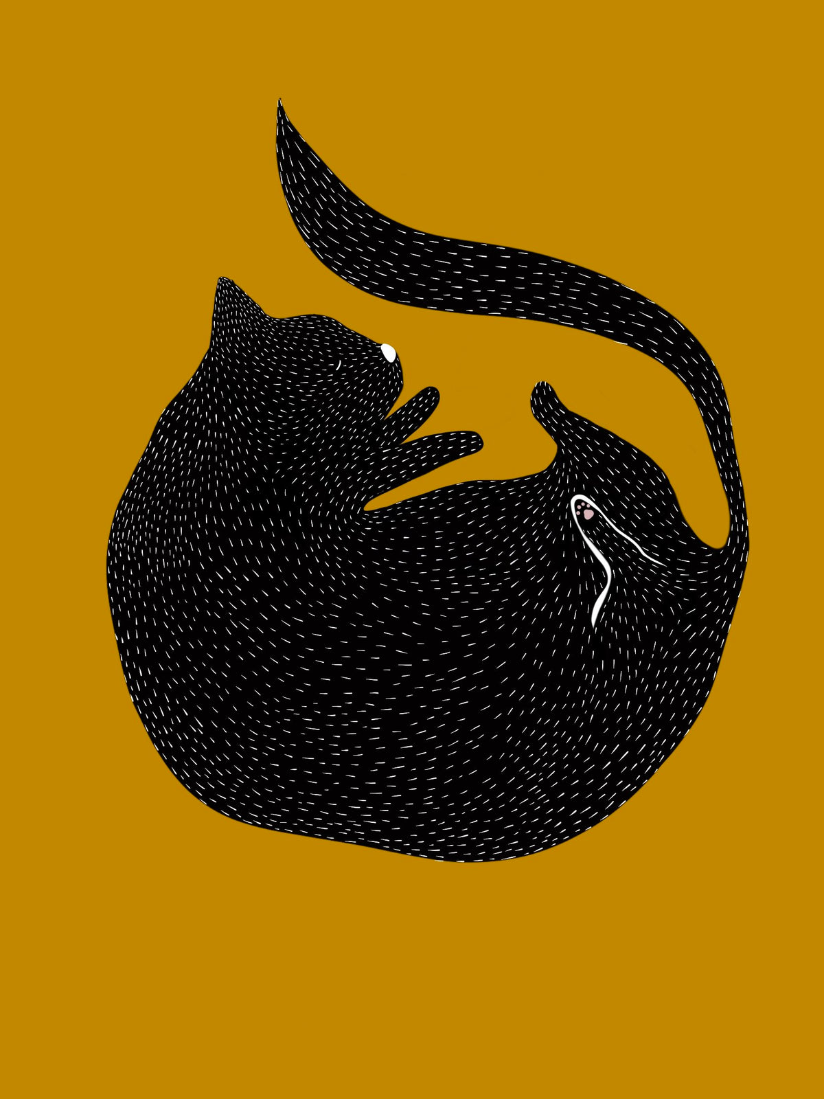 Round Cat