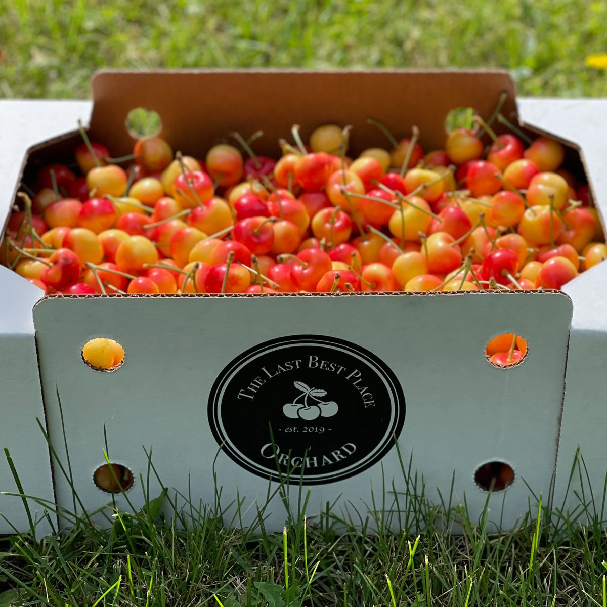 The Last Best Place Orchard