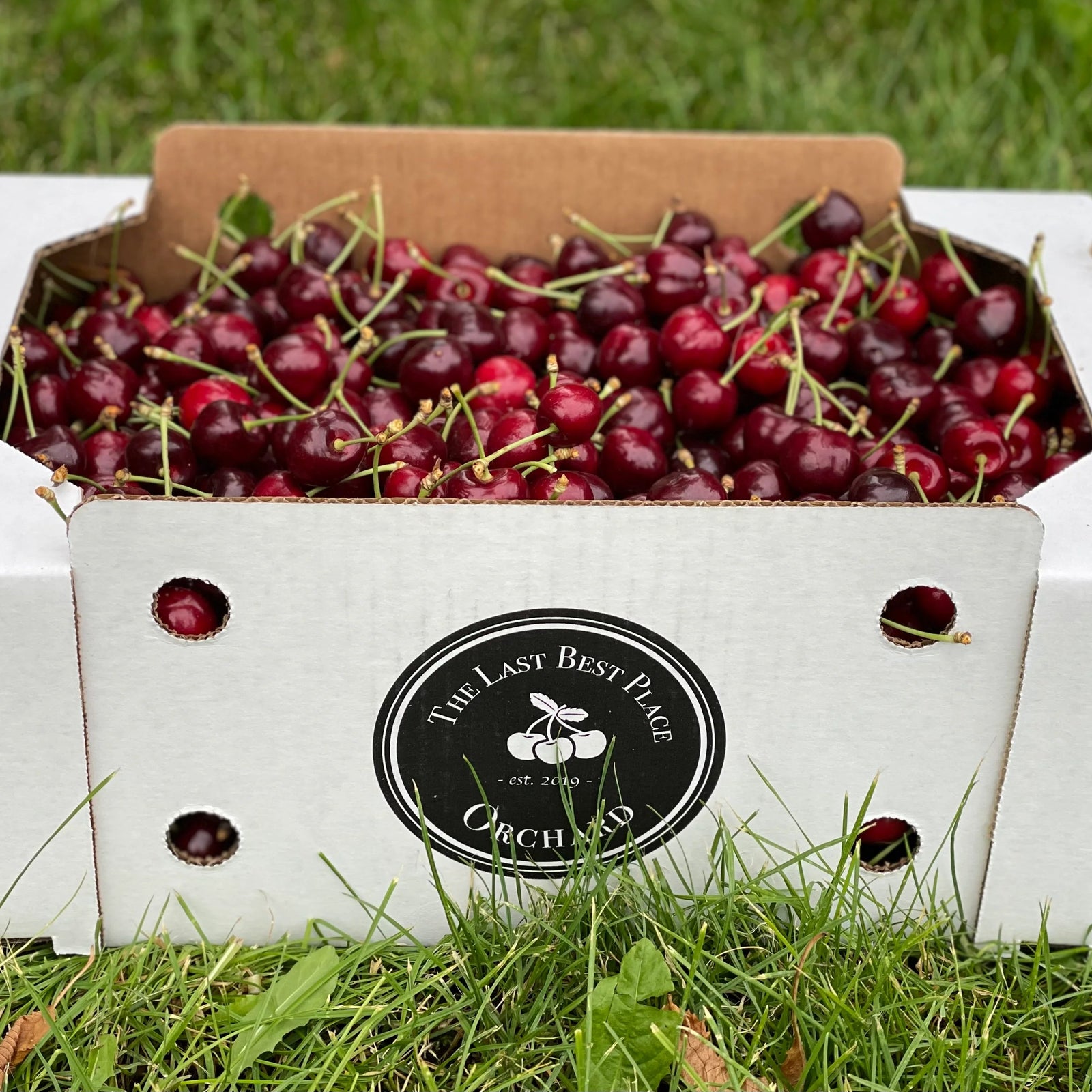 The Last Best Place Orchard