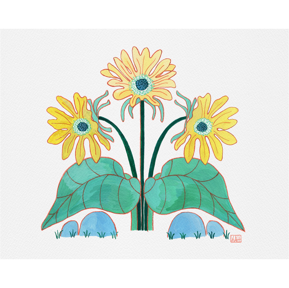 Arrowleaf Balsamroot-KHA