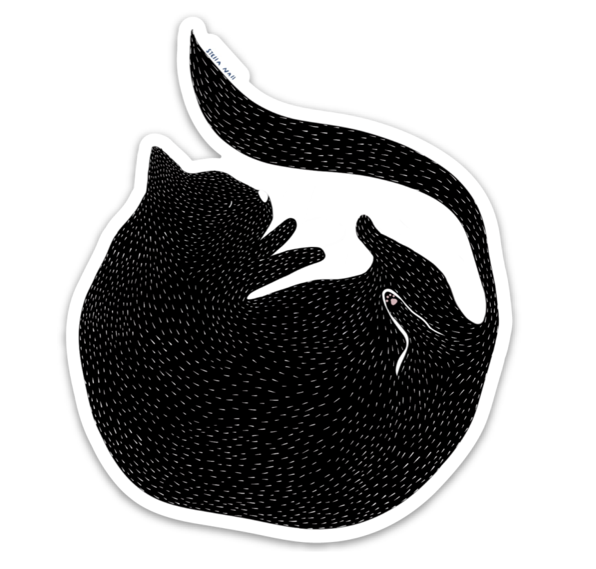 Round Cat