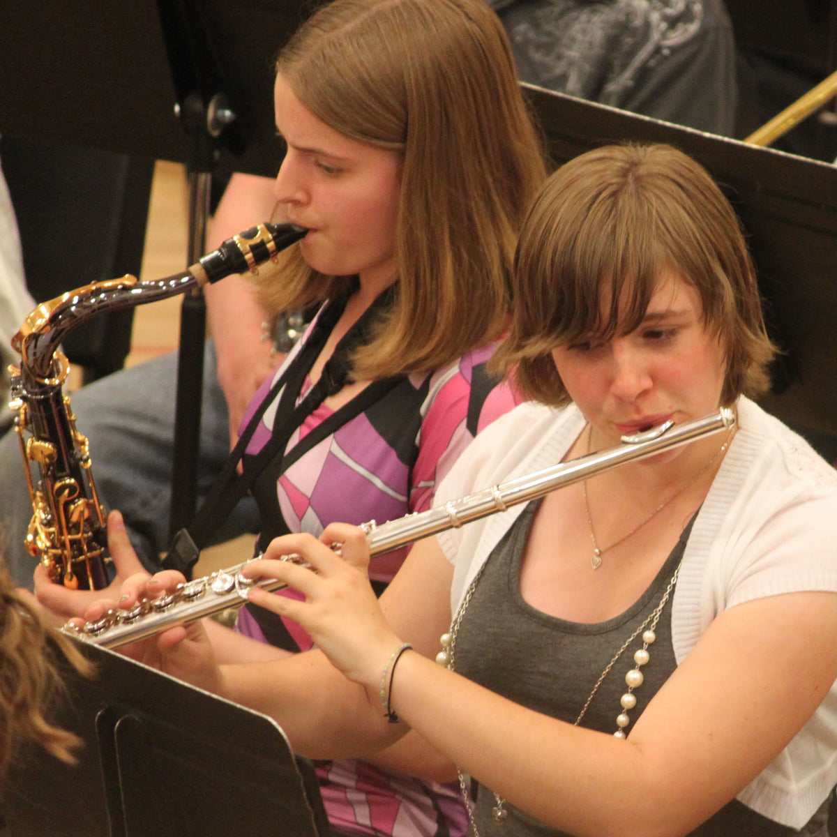 Bozeman Friends of Music