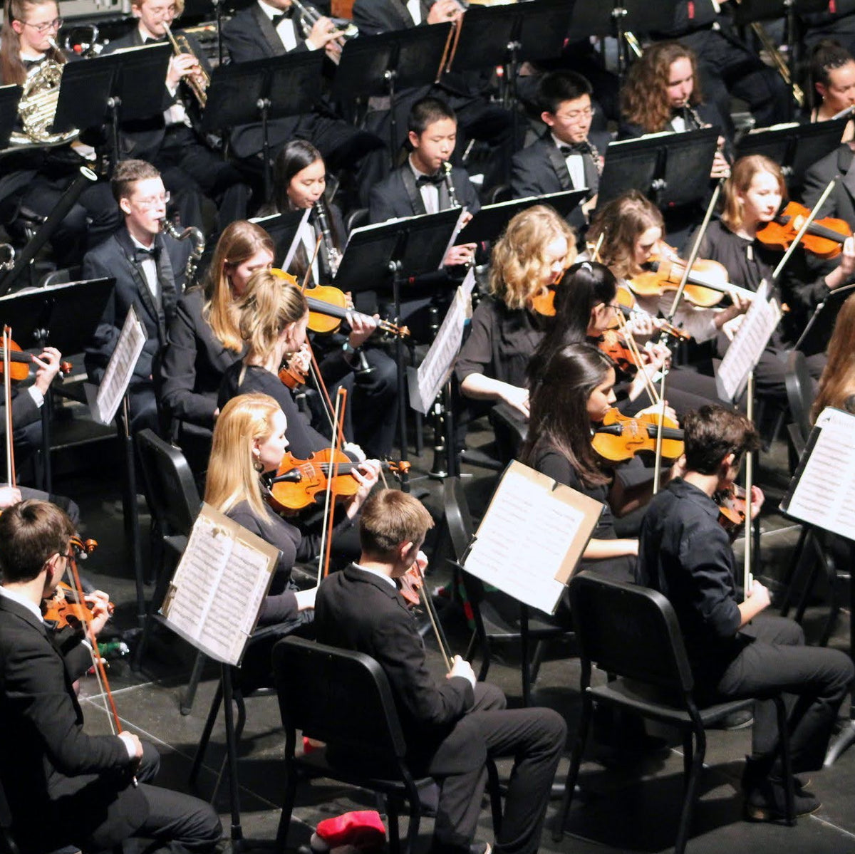 Bozeman Friends of Music