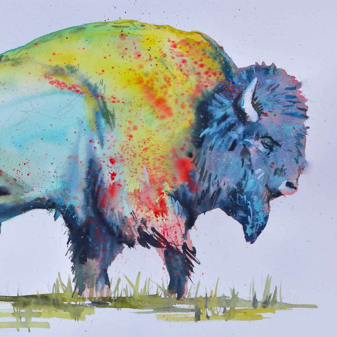 BisonFeather Designs