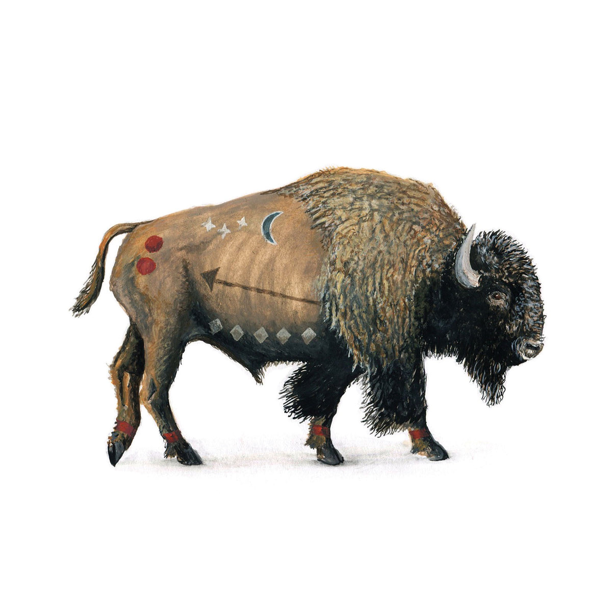 Bison