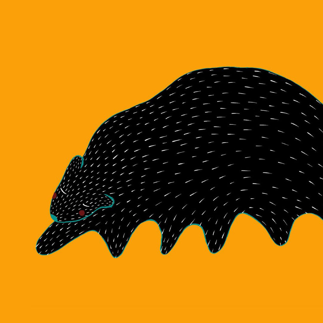 Caterbear