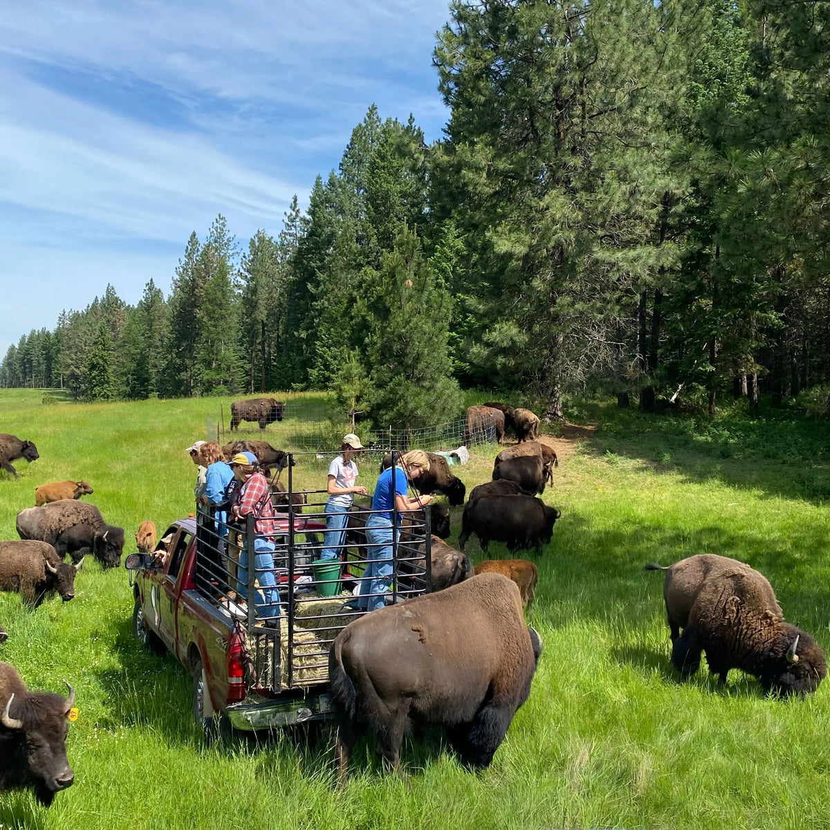 Community Food &amp; Agriculture Coalition