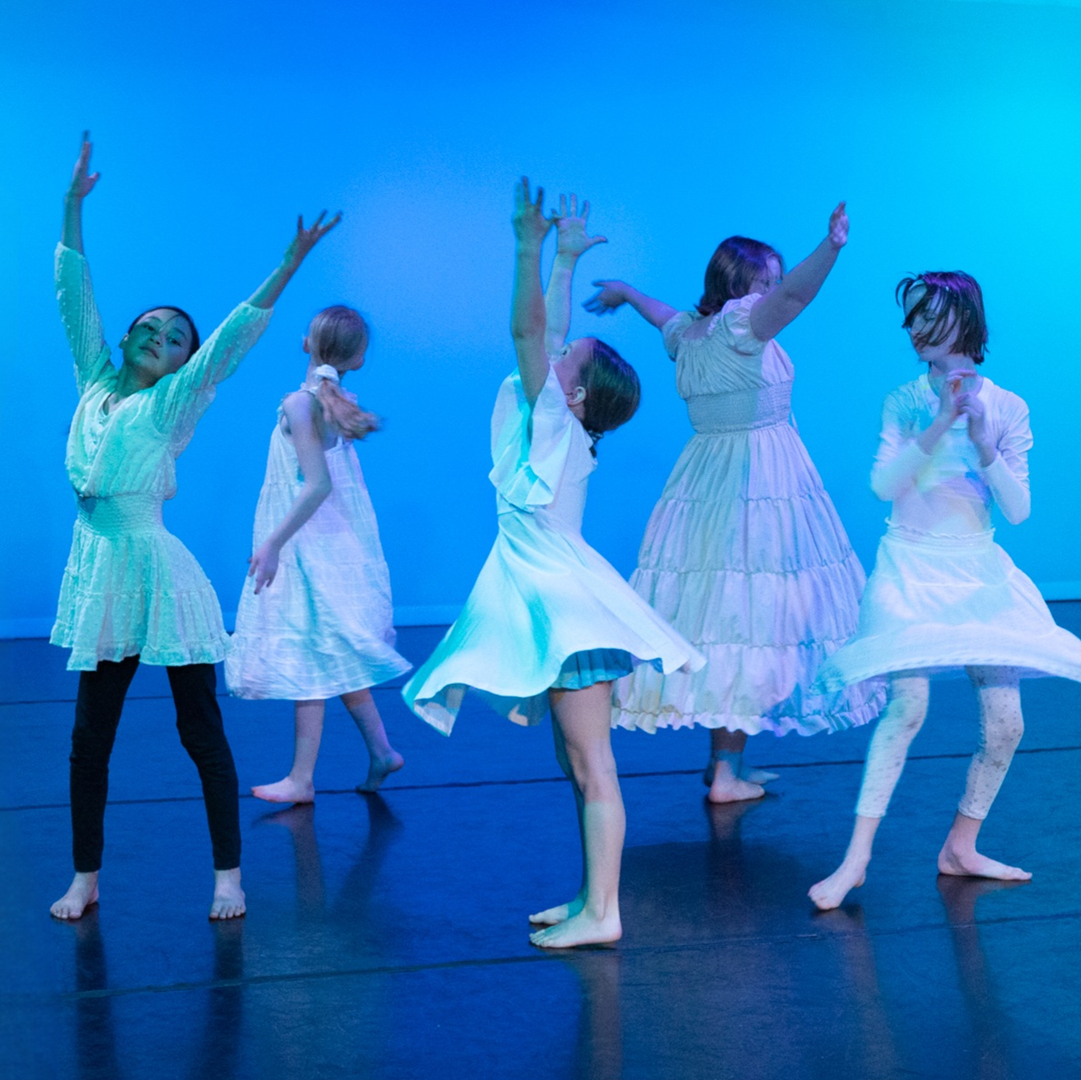 Cohesion Dance Project