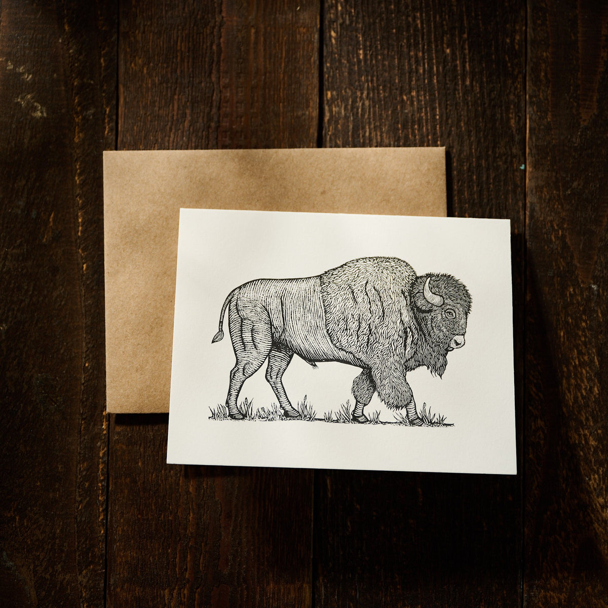 American Bison Card