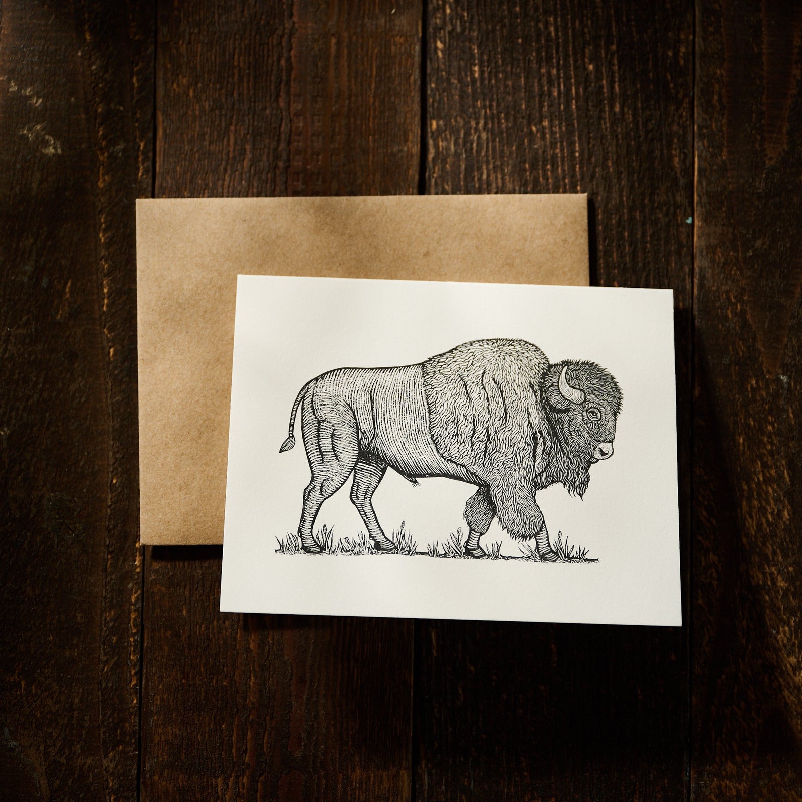 American Bison Card