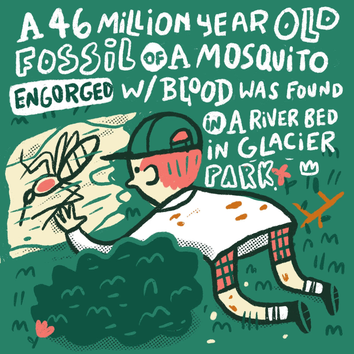 Glacier Park Quick Facts