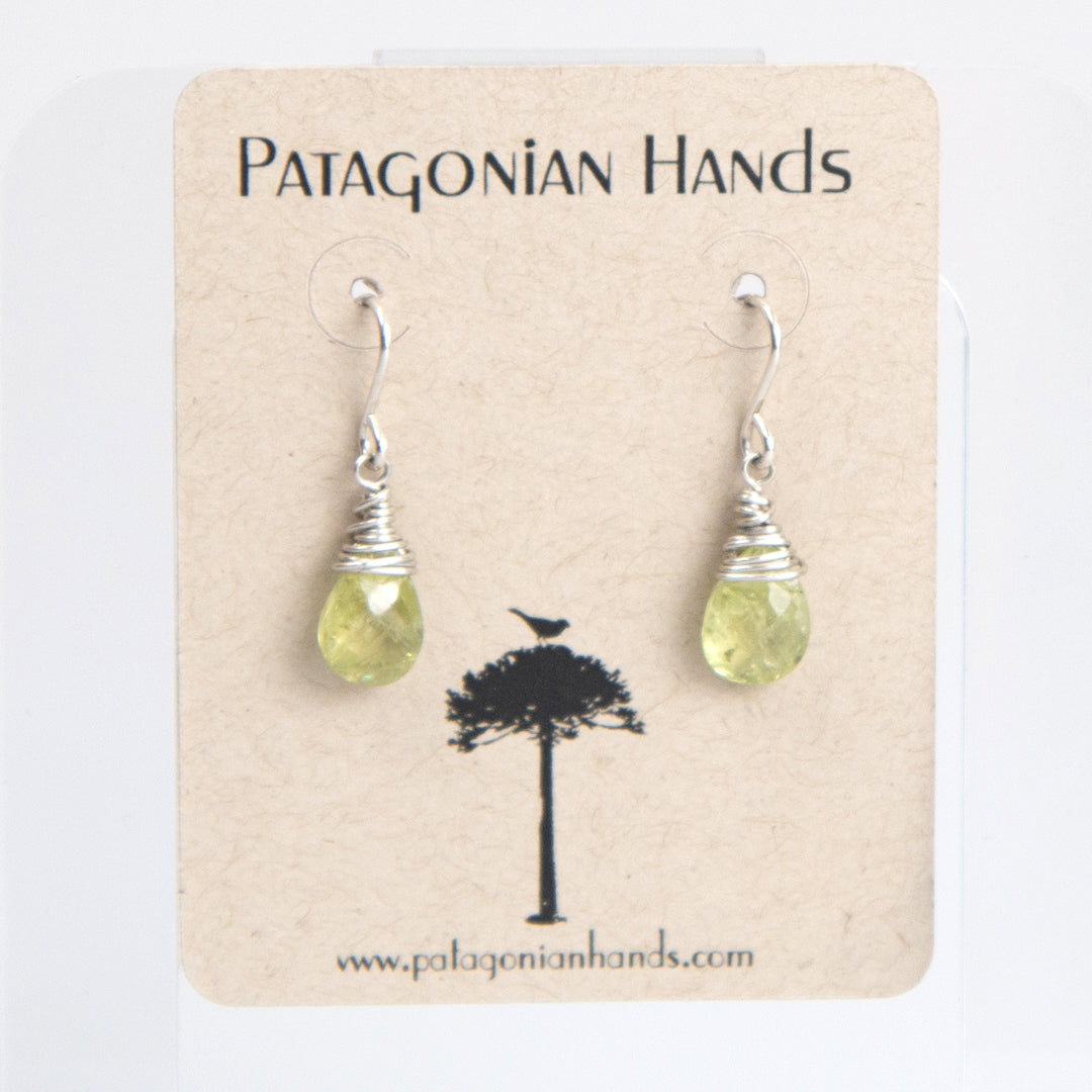 Teardrop Stone Earrings