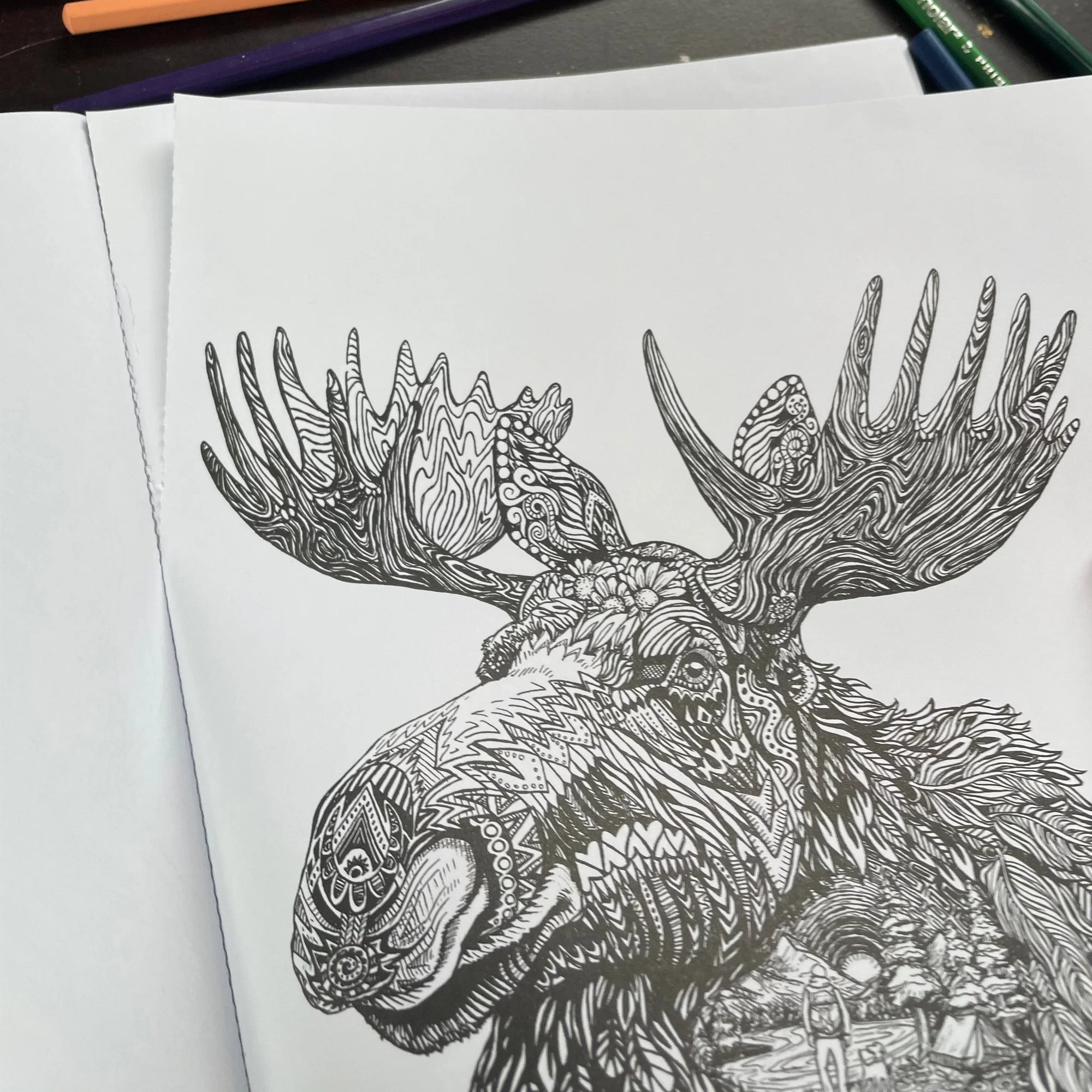 Busy Lizzy Coloring Book