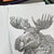 Busy Lizzy Coloring Book