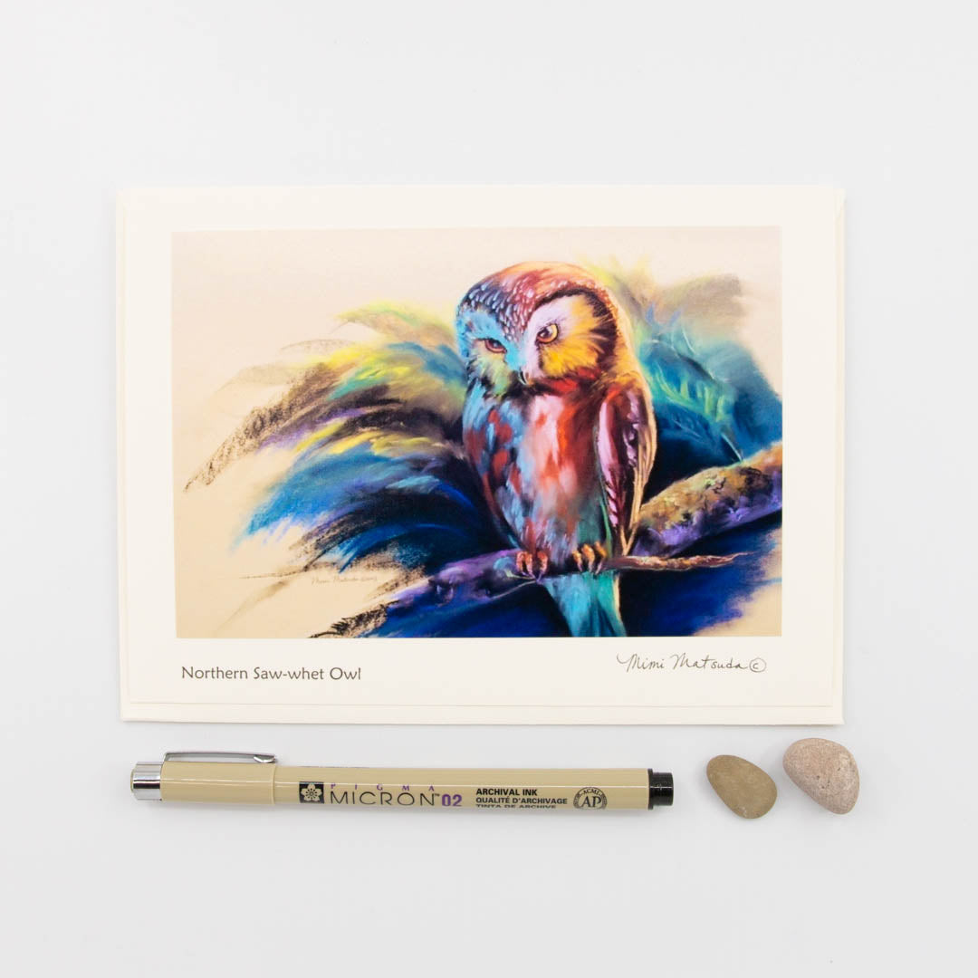 Northern Saw-whet Owl