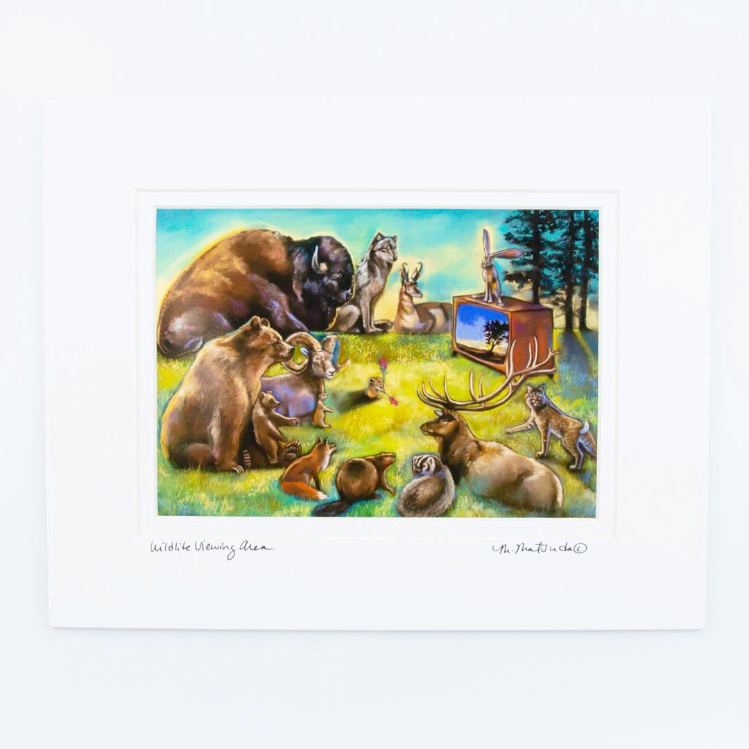 Wildlife Viewing Area