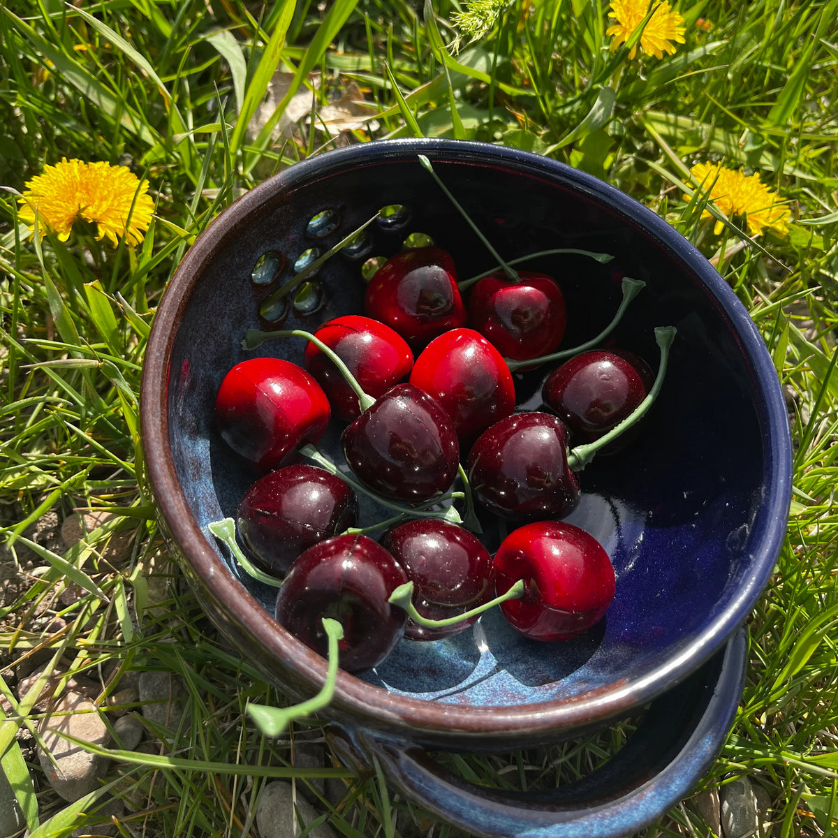 Mountain Mud Frog Pottery