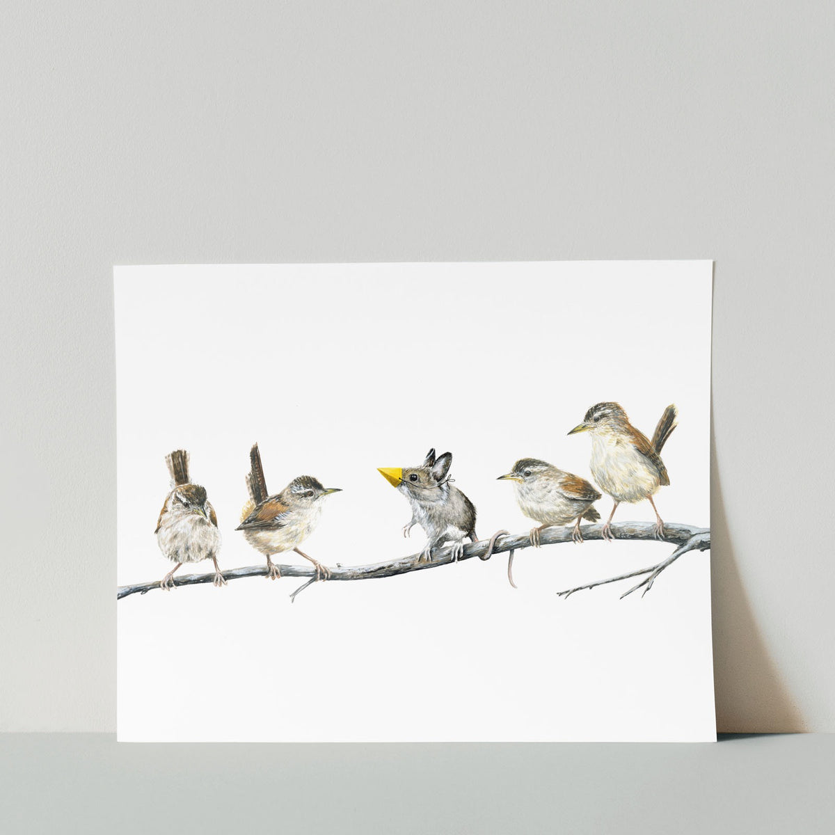 Marsh Wrens &amp; Field Mouse